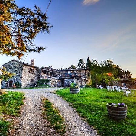 Agriturismo Il Cocco Montalcino Ngoại thất bức ảnh