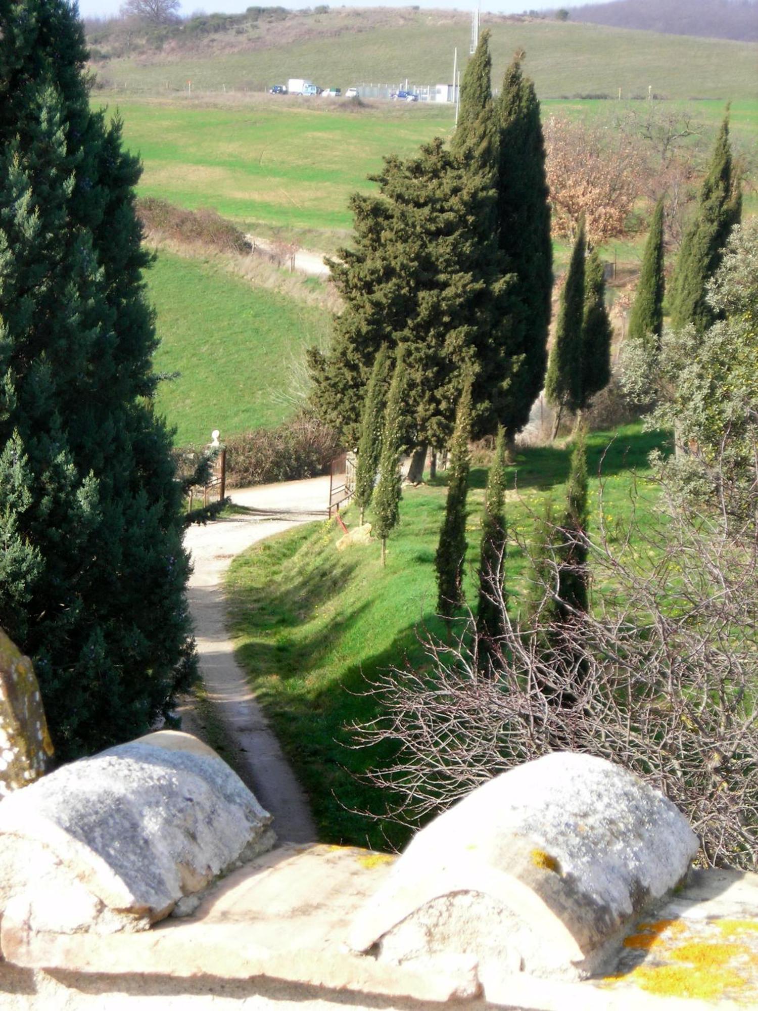 Agriturismo Il Cocco Montalcino Ngoại thất bức ảnh