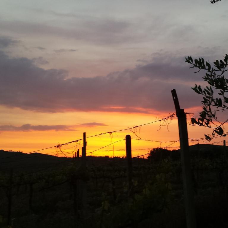 Agriturismo Il Cocco Montalcino Ngoại thất bức ảnh