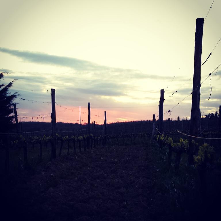 Agriturismo Il Cocco Montalcino Ngoại thất bức ảnh