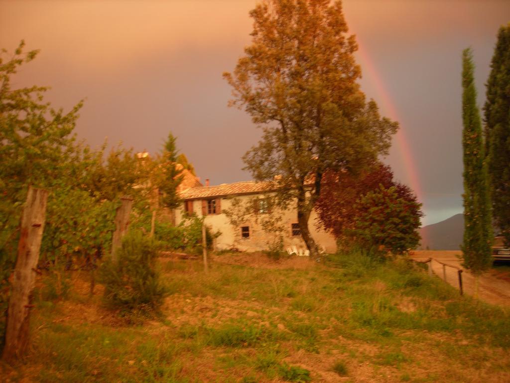 Agriturismo Il Cocco Montalcino Ngoại thất bức ảnh