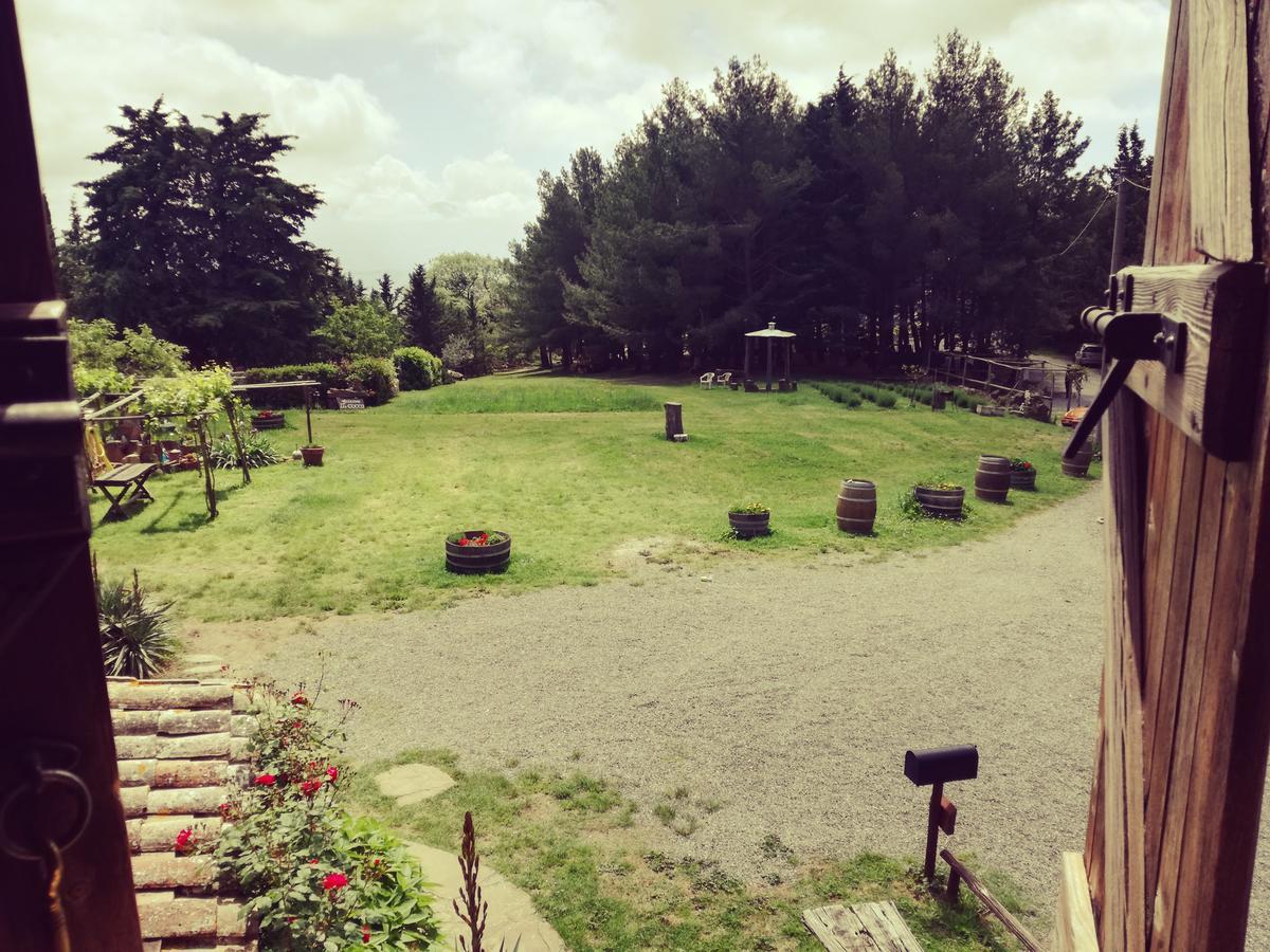 Agriturismo Il Cocco Montalcino Ngoại thất bức ảnh