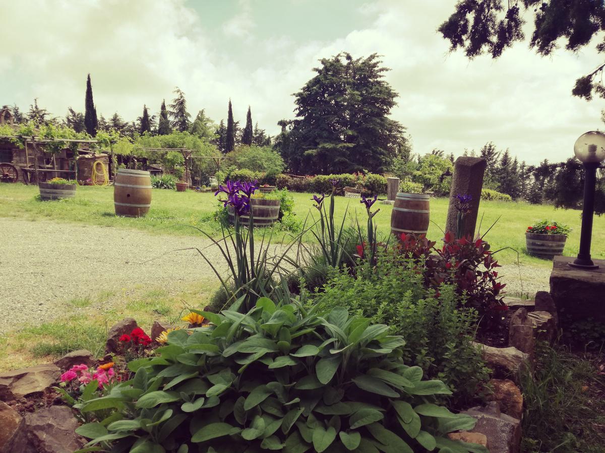 Agriturismo Il Cocco Montalcino Ngoại thất bức ảnh